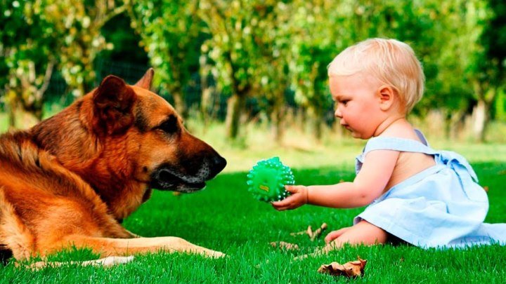 Дети и собаки - лучшие друзья ))