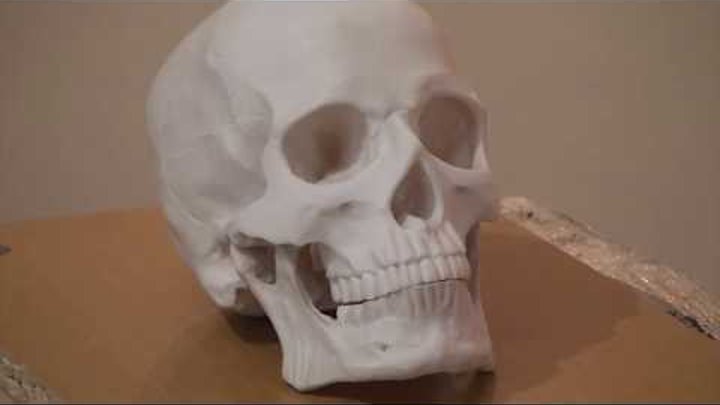 Уроки скульптуры и рисунка: лепка черепа человека, детализация, часть 2