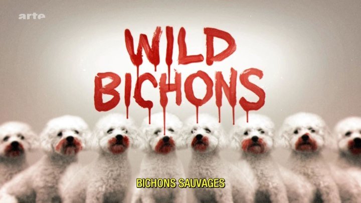 Дикие болонки / Wild Bichons (США 2013 HD) Комедийный ужастик, трэш, анимация, арт-хаус
