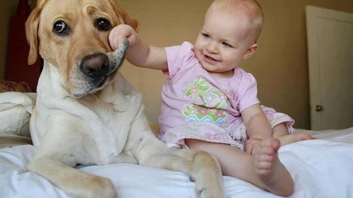 Собаки и дети - лучшие друзья!