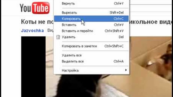Лучший способ скачать видео с YOUTUBE SoftFly.ru