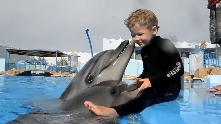 Дельфины очень милые существа. Сколько в них любви к людям. Это потрясающе