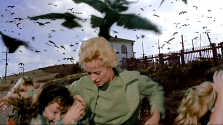 Película Los Pájaros ( 1963 ) - D.Latino