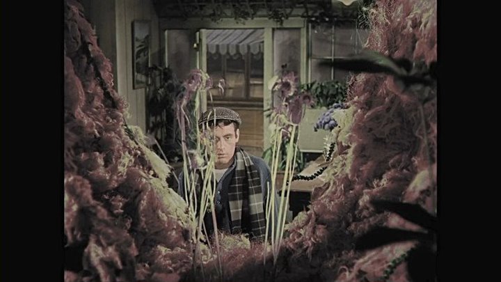 Película La Pequeña Tienda de los Horrores ( 1960 ) - D.Latino