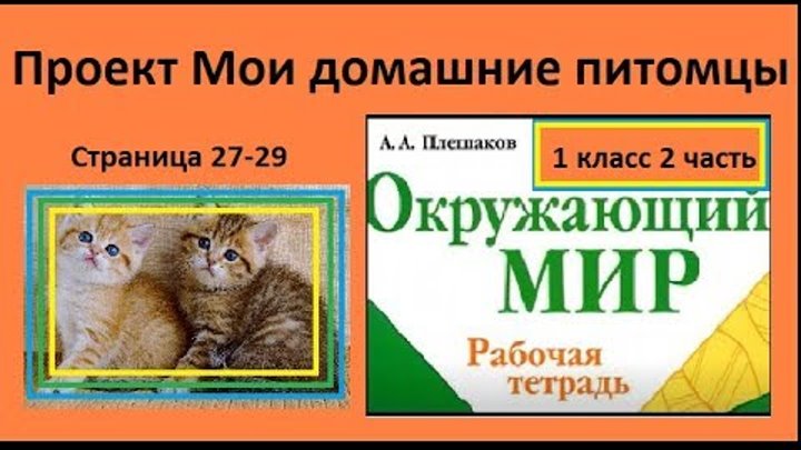 Проект мое домашнее животное немецкая овчарка