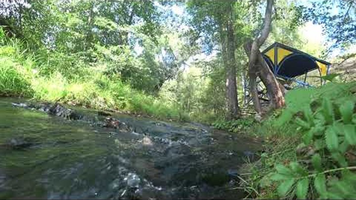 Все записи - Республика Татарстан РТ Онлайн