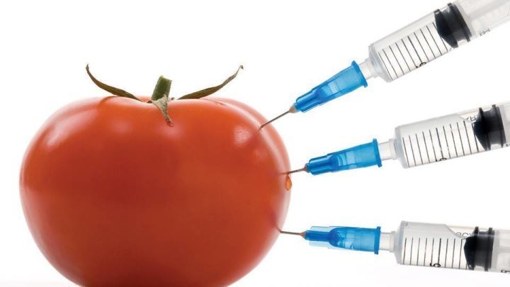 ГМО генномодифицированные продукты. СМОТРЕТЬ ВСЕМ!