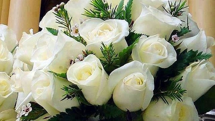 Букет из белых роз ИРИНА КРУГ и ВИКТОР КОРОЛЕВ