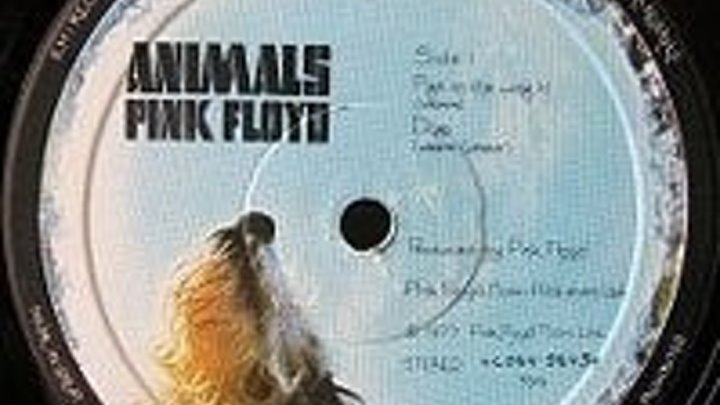 Pink Floyd - Animals 77 - http://ok.ru/rockoboz (3417)