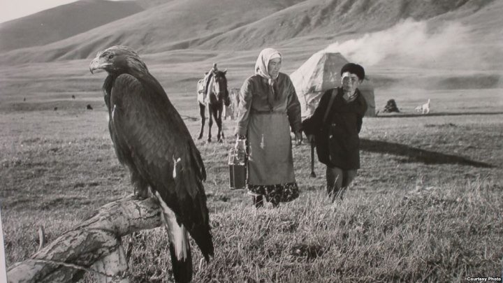 Бакайдын жайыты (1966) | Кыргыз Фильм HD