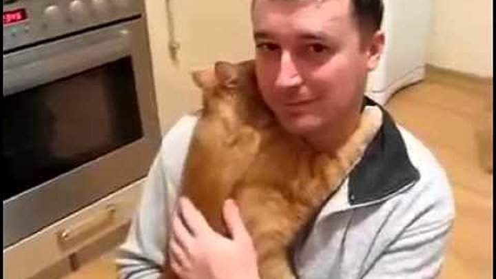 Кот обнимает хозяина