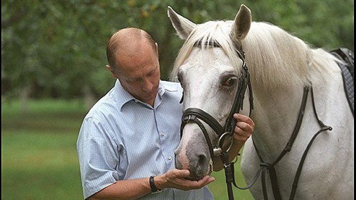 Президент Киргизии подарил Владимиру Путину коня