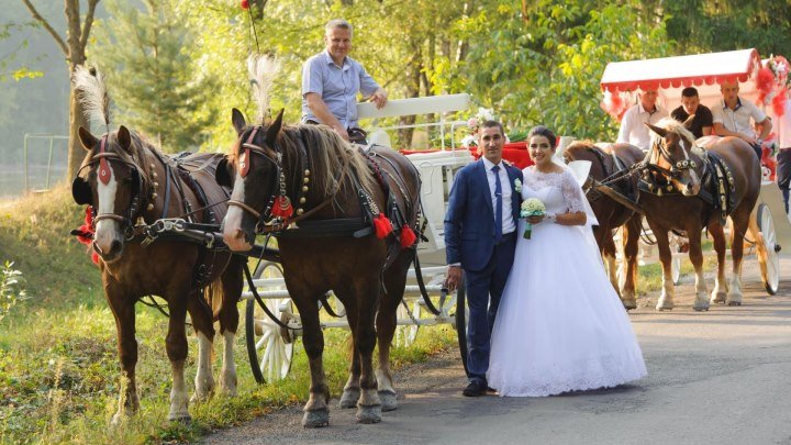 Ексклюзивне Закарпатське народне весілля з каретами Бориса&Мирославки