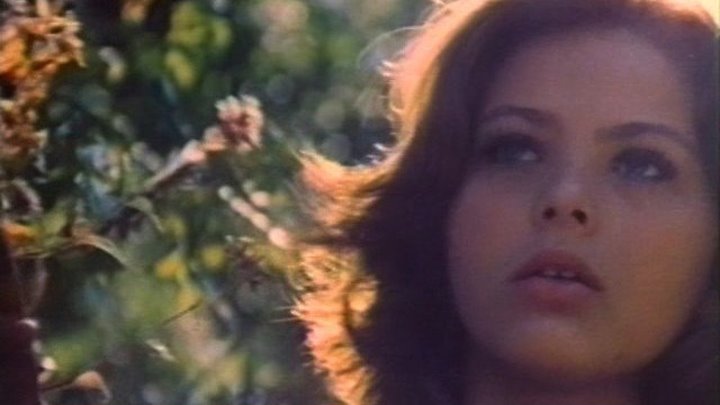 Солнце на твоей коже / Il Sole nella pelle / Summer affair (1971) DVDRip (16+)