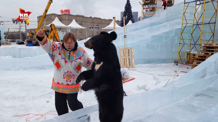Гималайский медведь покатался на ледяных горках в Москве