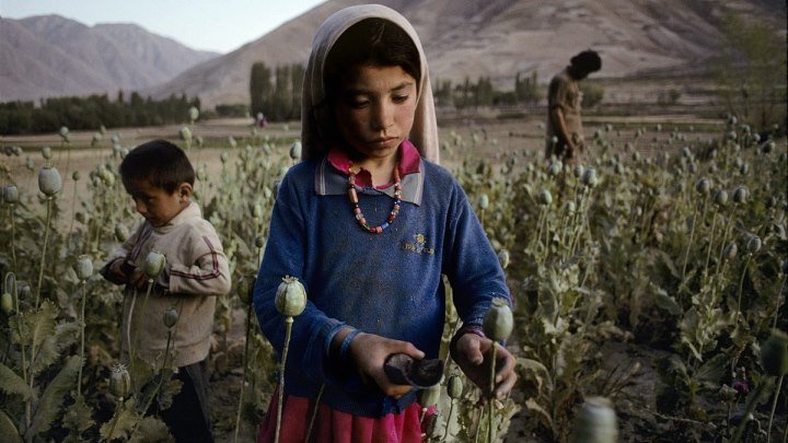 «Афганистан. Опиум для народов» Документальный фильм