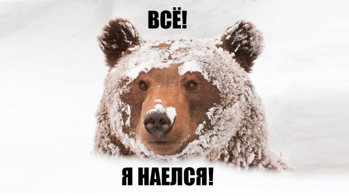 'Русские готовы есть снег, но предпочитают деликатесы' – заявил Дмитрий Песков