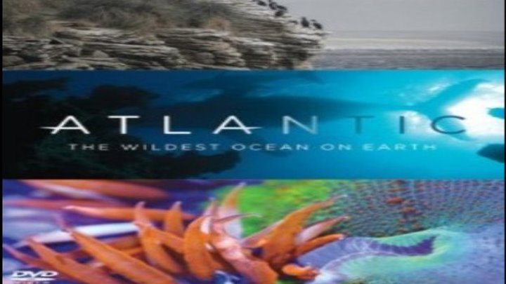 Атлантика: Самый необузданный океан на Земле / Серия 1 из 3 (DOC)