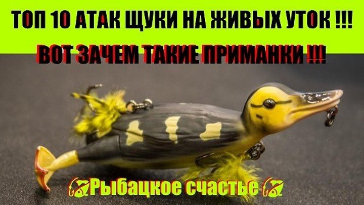 ТОП 10 АТАК ЩУКИ НА УТОК !!!! СТАВЬ КЛАСС !!! И ПОДЕЛИСЬ !!!