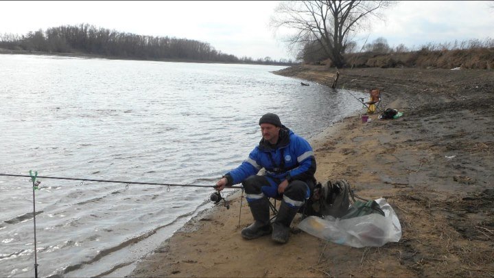 Фидер в апреле, рыбалка на нижней Москве-реке.