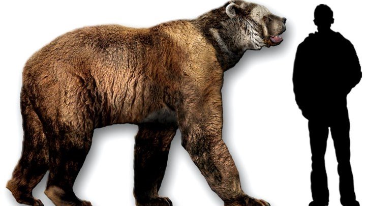Доисторические Хищники. Короткомордый Медведь - Арктодус
