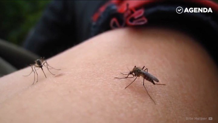Гаджет от укусов комаров