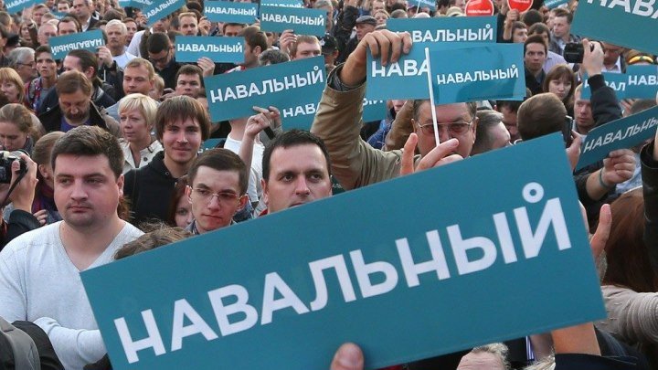 Навальный. Митинги. Моё мнение.