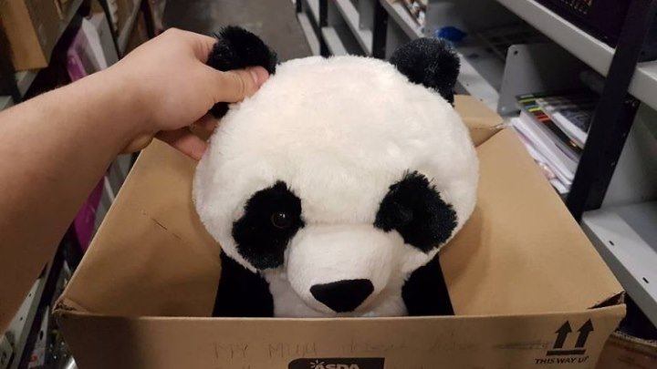 Мальчик оставил трогательное послание возле игрушечной панды, чтобы её не купили