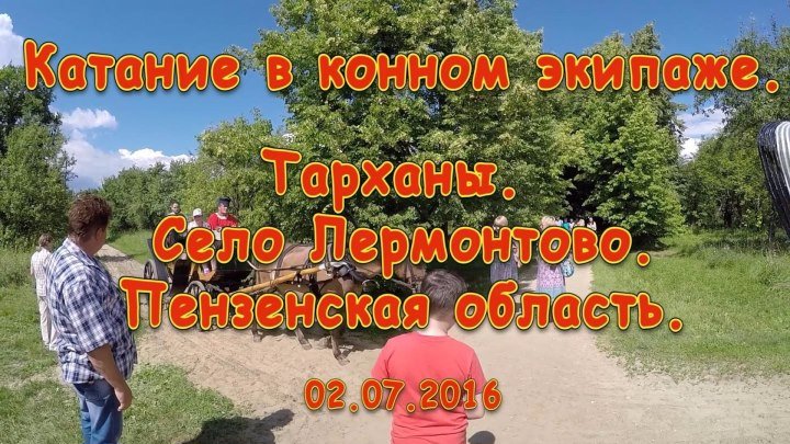 Катание в конном экипаже. Тарханы. Пензенская область. 02.07.2016