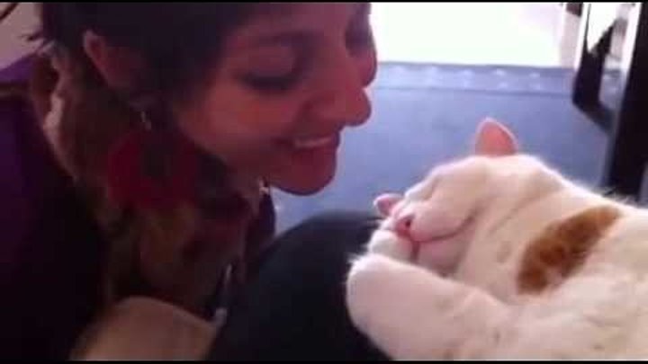 Котик мяукает, когда его целуют. Так мило )