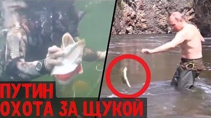 Владимир Путин ловит рыбу, охотится под водой и проводит отпуск в Сибири