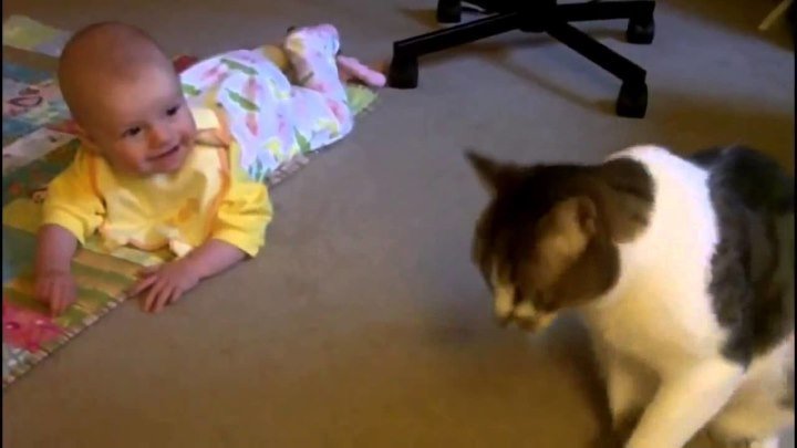 Кошка и маленький ребенок