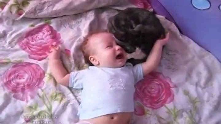 Кошка успокаивает плачущего малыша