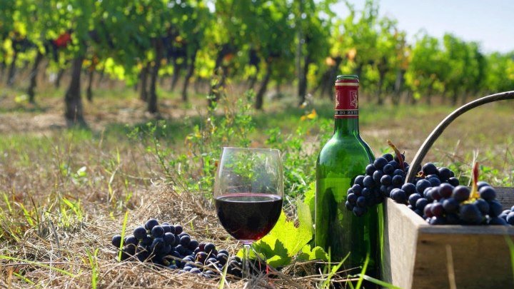 Армения — как делают вино для России