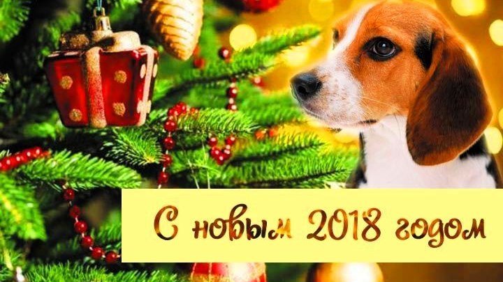 ЛУЧШАЯ НОВОГОДНЯЯ ПЕСНЯ! С годом Собаки 2018