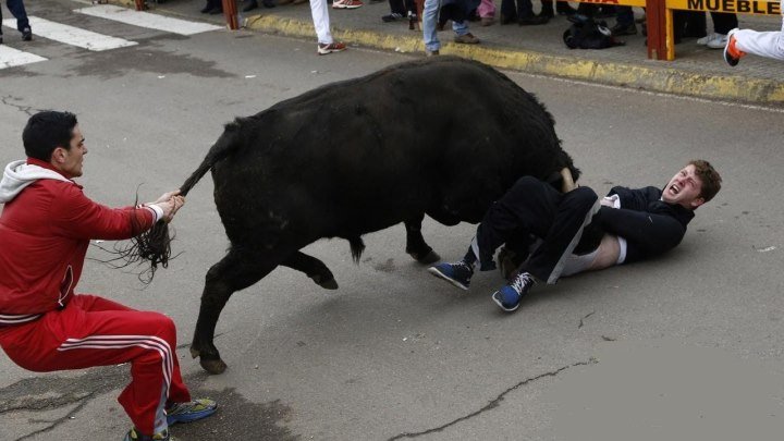 Видео самого безумного шоу - энсьерро ( бег разъяренных быков) в Испании