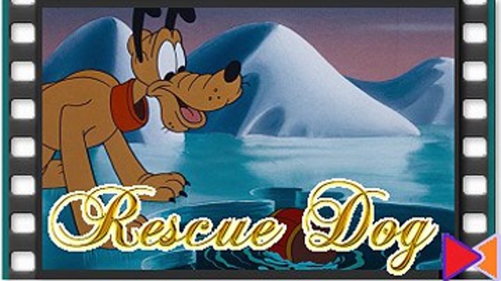 Собака-спасатель [Rescue Dog] (1947)