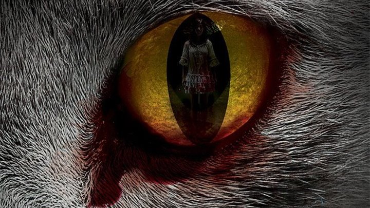Кот: глаза, которые видят смерть (2011)