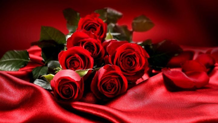 Очень красивые розы и музыка для вас!!!