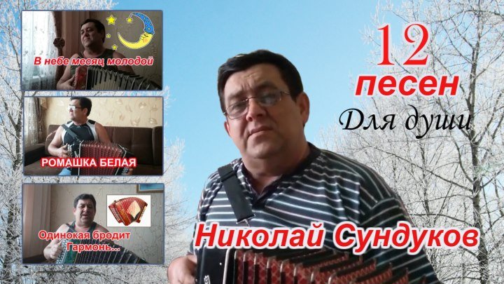 Николай Сундуков 12 песен на гармошке для души