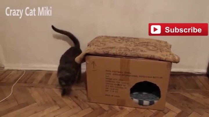 Домик для кошки своими руками из коробки