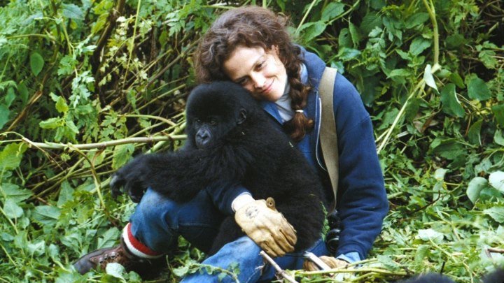 Гориллы в тумане (1988) / Gorillas in the Mist: The Story of Dian Fossey (1988)