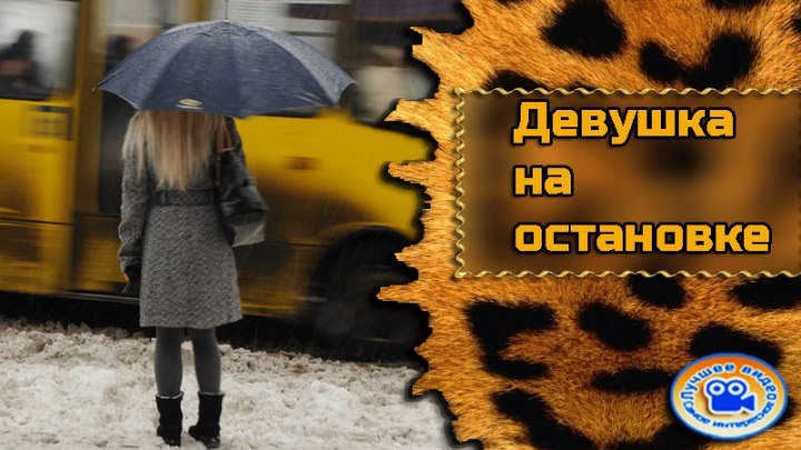 Девушка коротает время в ожидании автобуса #ЛучшееВидео