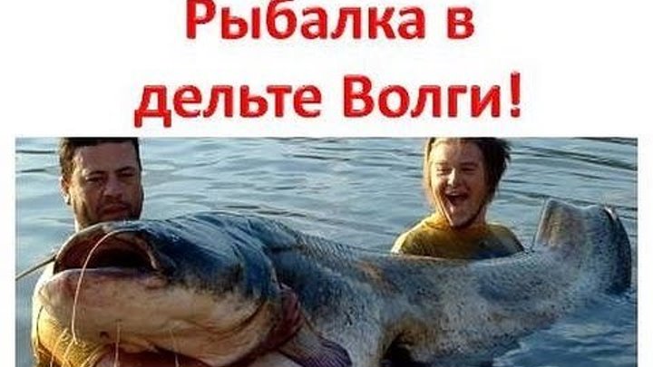 Рыбалка в дельте Волги. Рыбалка в Дельте Волги с Алексеем Чернушенко.