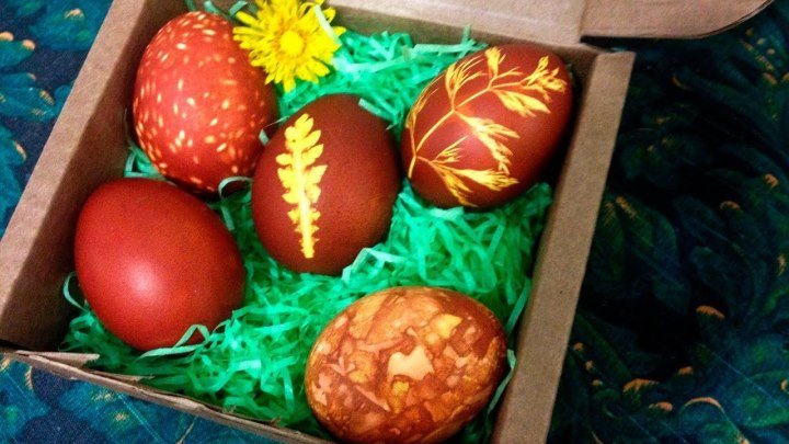 Как покрасить пасхальные яйца. 5 способов окрашивания яиц