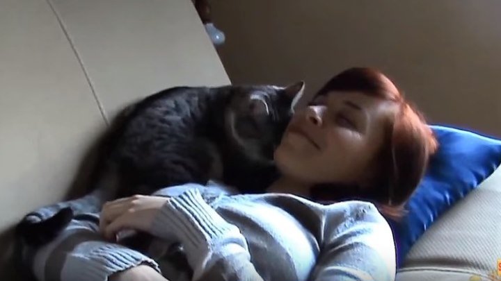 Любовь и дружба кошки и человека