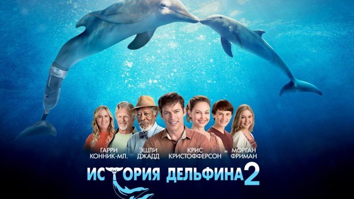 История дельфина 2 (2014) 720p