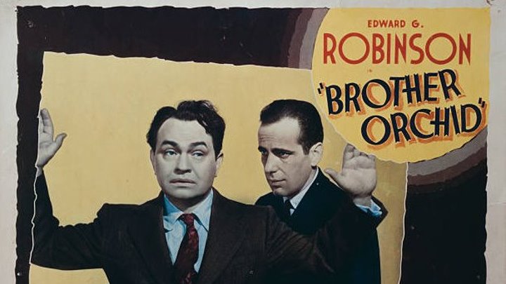 Brother Orchid (1940) Humphrey Bogart, Edward G. Robinson, Ann Sothern, Donald Crisp, Ralph Bellamy, Cecil, Kellaway.