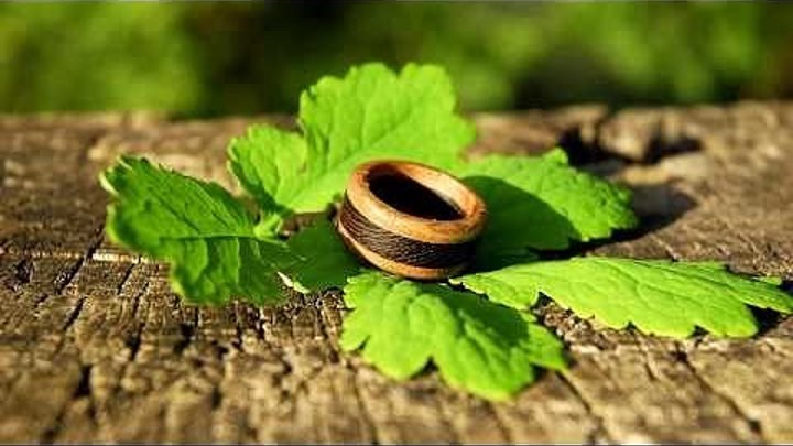 Деревянное кольцо своими руками