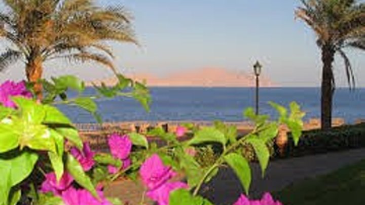 Пляж отеля Корал бич Тиран в Шарм эль Шейхе